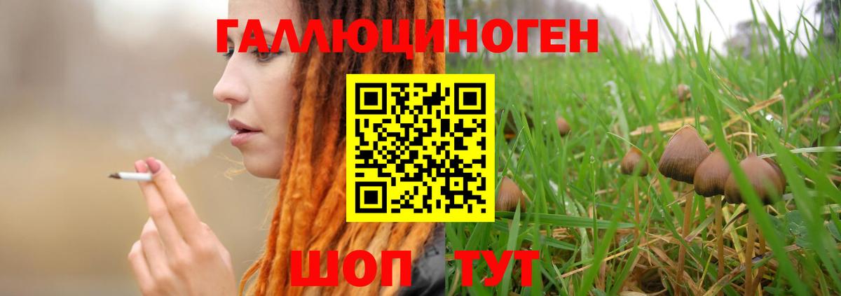 Псилоцибиновые грибы Psilocybe  Вход с VPN  Тобольск 